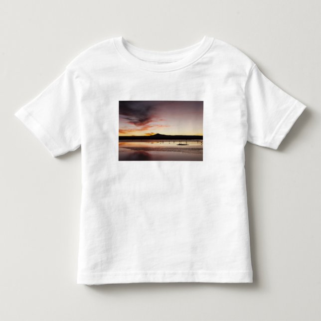Camiseta De Bebé Flamenco Chileno (Anverso)