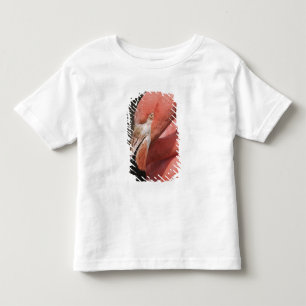 Camiseta De Bebé Flamenco chileno, Phoenicopterus chilensis