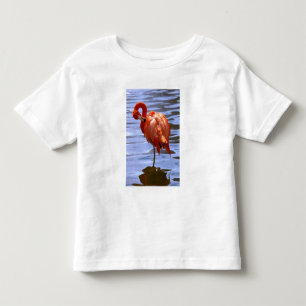 Camiseta De Bebé Flamenco en una pierna en el agua