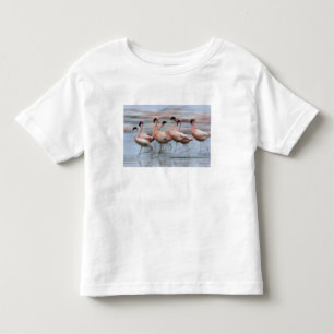 Camiseta De Bebé Flamencos menores en movimiento, Phoenicopterus