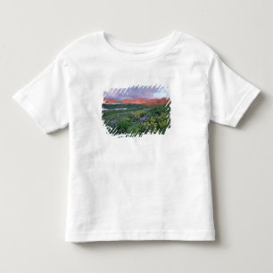 Camiseta De Bebé Fleabane púrpura (erigeron peregrinus) y amarillo