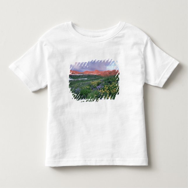 Camiseta De Bebé Fleabano púrpura (erigeron peregrinus) y amarillo (Anverso)