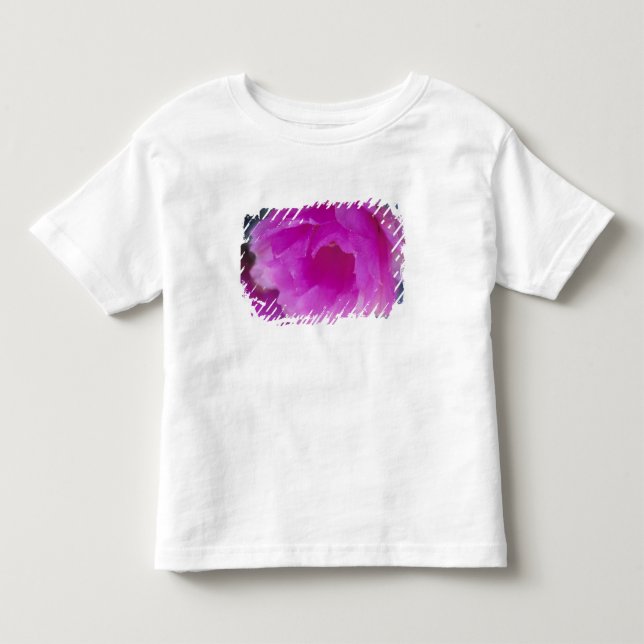 Camiseta De Bebé Flor de cactus erizo rosa (Echinocereus (Anverso)