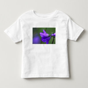 Camiseta De Bebé Flor de campanilla azul en Independence Pass en