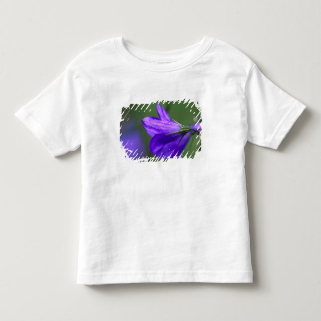 Camiseta De Bebé flor de campanilla en Independence Pass en (Anverso)