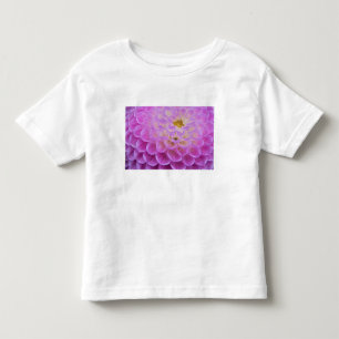 Camiseta De Bebé Flor de crisantemo decorando tumba en