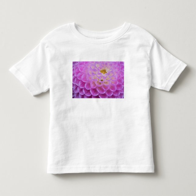 Camiseta De Bebé Flor de crisantemo decorando tumba en (Anverso)