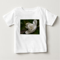 Flor de magnolia blanca cremosa