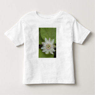 Camiseta De Bebé Flor de pasión Galápagos Passiflora foetis