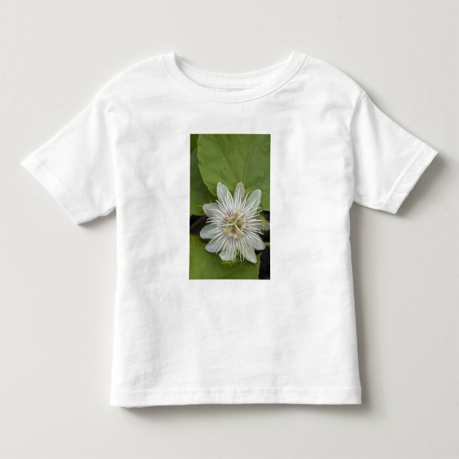 Camiseta De Bebé Flor de pasión Galápagos Passiflora foetis (Anverso)