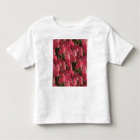 Floral de tulipanes rosados