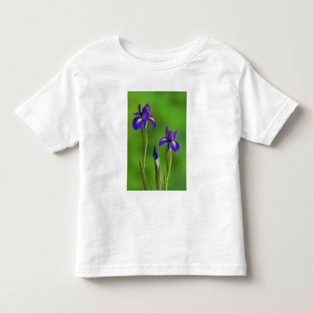 Camiseta De Bebé Flores de iris (Anverso)