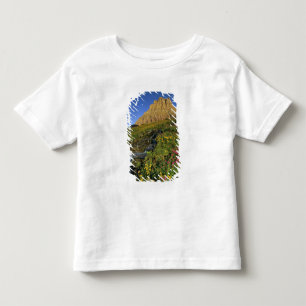 Camiseta De Bebé Flores silvestres alpinas y Mt Clements en Logan P