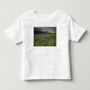 Camiseta De Bebé Flores silvestres de la pradera llenan la pradera 