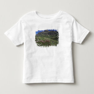 Camiseta De Bebé Flores silvestres, floreciendo, Alpes, Suiza