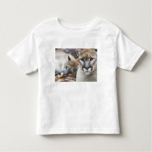 Camiseta De Bebé Florida Panther