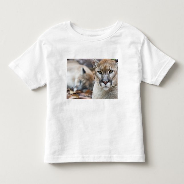 Camiseta De Bebé Florida Panther (Anverso)