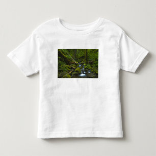 Camiseta De Bebé Flujo templado de selva tropical en el río Columb