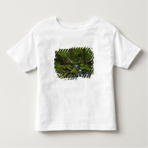 Camiseta De Bebé Flujo templado de selva tropical en el río Columbi
