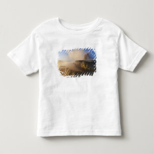 Camiseta De Bebé Fly Geyser con Granite Range coronada de nieve