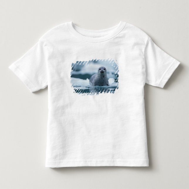 Camiseta De Bebé foca común del pacífico, Phoca vitulina richardsi (Anverso)