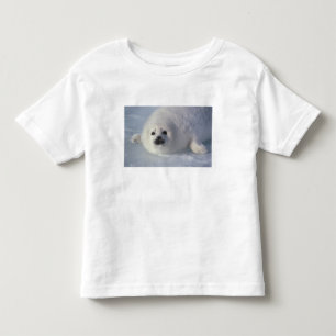 Camiseta De Bebé Foca de Groenlandia (Phoca groenlandica) Una cría 