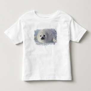 Camiseta De Bebé Foca de Groenlandia (Phoca groenlandica) Una cría 