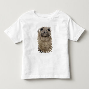 Camiseta De Bebé Foca elefante del sur (Mirounga leonina)