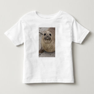 Camiseta De Bebé Foca elefante del sur (Mirounga leonina)