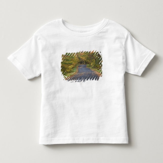 Camiseta De Bebé Follaje de otoño en la carretera, sur de Vermont,  (Anverso)