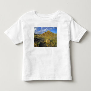 Camiseta De Bebé Formaciones de Badlands en el Parque Provincial Di