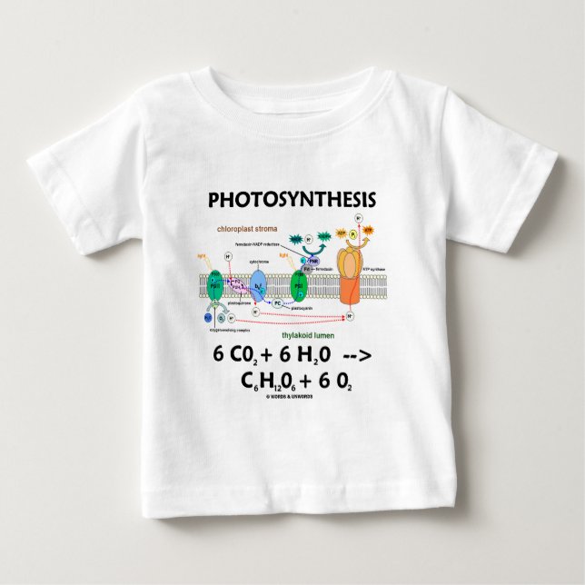 Camiseta De Bebé Fórmula de la fotosíntesis (sustancia química) (Anverso)