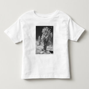 Camiseta De Bebé Foto infrarroja en el lado este del Parque Naciona