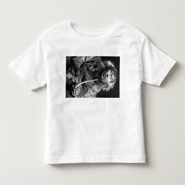 Camiseta De Bebé Fotografía esquimal de Alaska del tubo que fuma (Anverso)