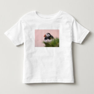 Camiseta De Bebé Frailecillo atlántico (Fratercula arctica)