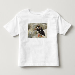 Camiseta De Bebé Frailecillos atlánticos en la isla Machias Seal