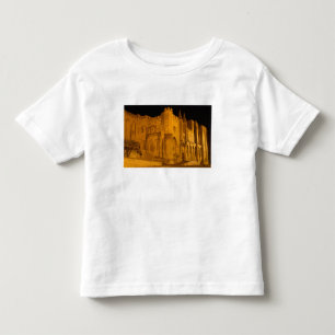 Camiseta De Bebé Francia, Aviñón, Provenza, Palacio Papal por la no