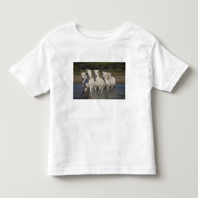 Camiseta De Bebé Francia, Camargue. Caballos corren (Anverso)