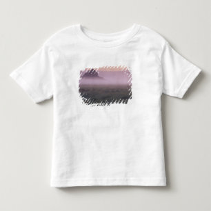 Camiseta De Bebé FRANCIA, Normandía Mont St. Michel. Niebla matutin