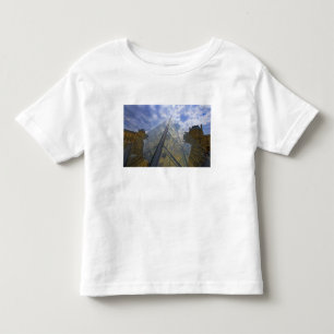 Camiseta De Bebé Francia, París. Nubes se reflejan en el Louvre