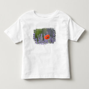 Camiseta De Bebé Francia, Provenza. Amapola solitaria en campo de