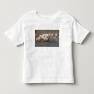Camiseta De Bebé Francia, Provenza. Caballos blancos de Camargue co