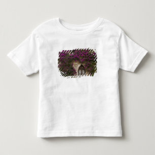 Camiseta De Bebé Francia, Provenza, Eze. Rosa brillante