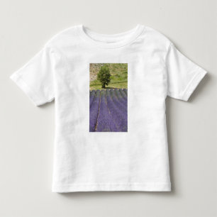 Camiseta De Bebé Francia, Provenza. Filas de lavanda en flor.