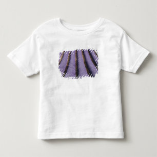 Camiseta De Bebé Francia, Provenza. Filas de lavanda en flor. 2