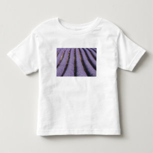 Camiseta De Bebé Francia, Provenza. Filas de lavanda en flor. 2