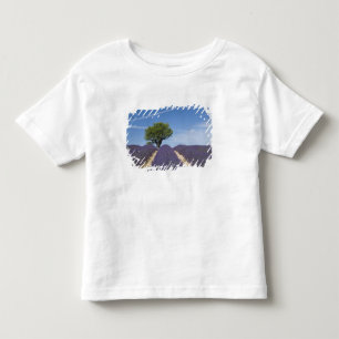 Camiseta De Bebé Francia, Provenza. Filas de lavanda en flor.4