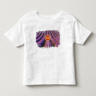 Camiseta De Bebé Francia, Provenza. Filas de lavanda y alto