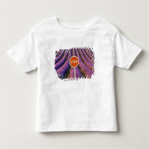 Camiseta De Bebé Francia, Provenza. Filas de lavanda y parada