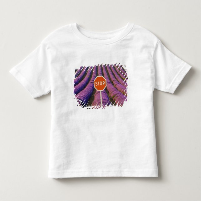 Camiseta De Bebé Francia, Provenza. Filas de lavanda y parada (Anverso)